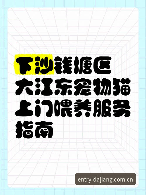 大江体育怎么安装安卓版 大江体育安卓版安装完整指南:从下载到问题解决一步到位